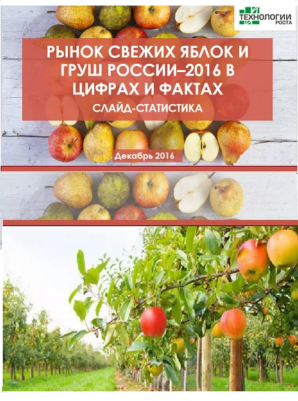 Фотография продукта Рынок свежих яблок и груш России. Отчет