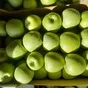 яблоки оптом от 10 тонн. в Москве 13