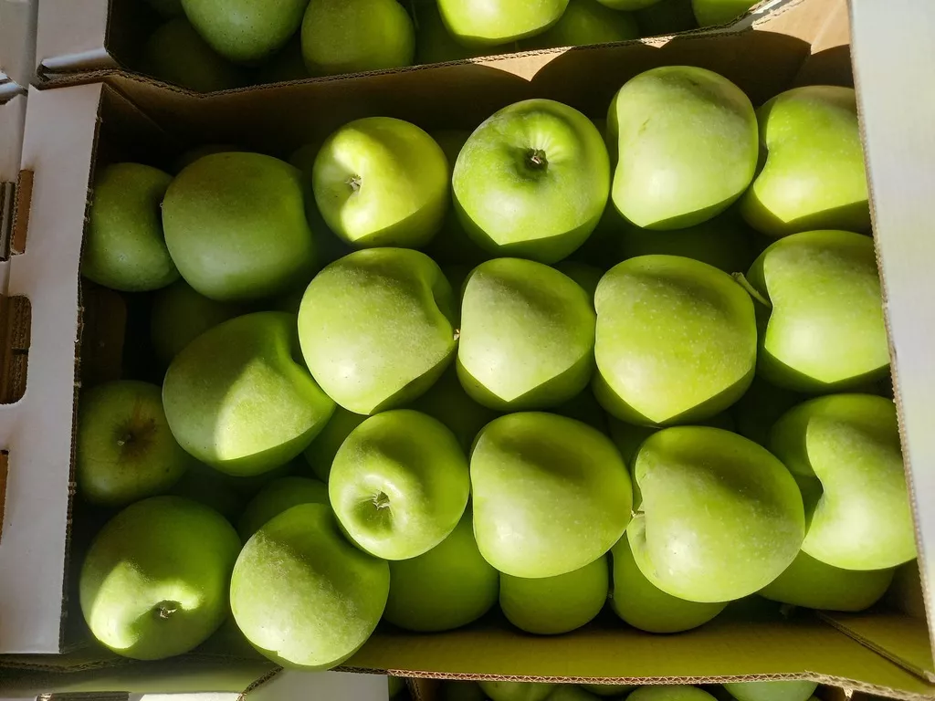 яблоки оптом от 10 тонн. в Москве 25